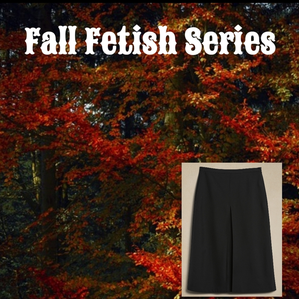Fall Fetish Series: Banana Republic Highwaisted Pleated Skirt | Size: 12
